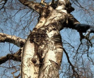 What is the Shinto perspective on the Act of Masturbation?